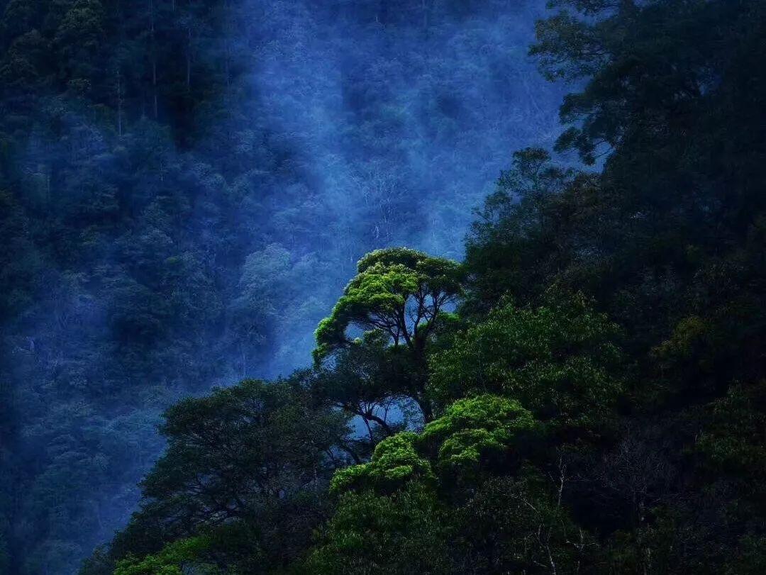（新春走基层）西安北站“守夜人”