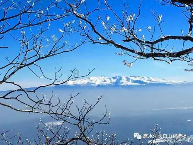 明星三缺一