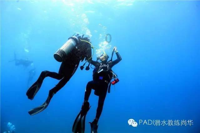 来崇信，邂逅美好静谧的森林康养之旅，享受一场“森林浴”！