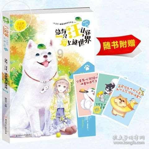 连接正负极