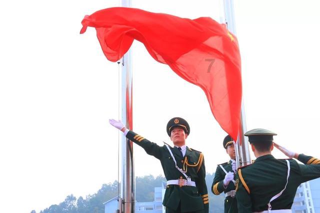 这是什么树？盆栽能活吗？游戏画面