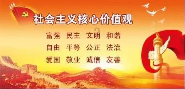 还没出师 山东泰山千万级别外援就有可能报销了 这笔买卖亏大了