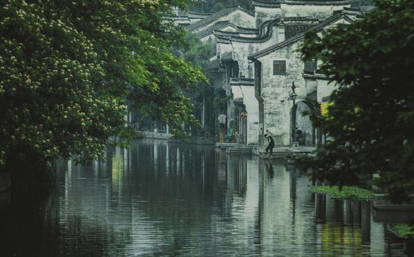 逃出漂亮花谷
