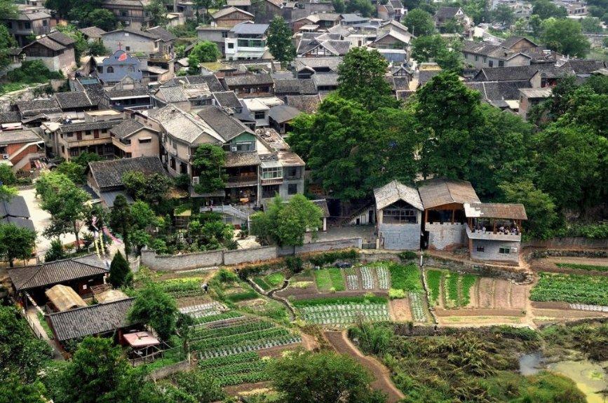 抗震“父子兵”