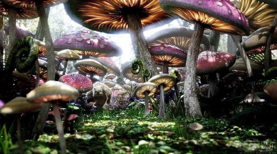 吃星星的恐龙男孩